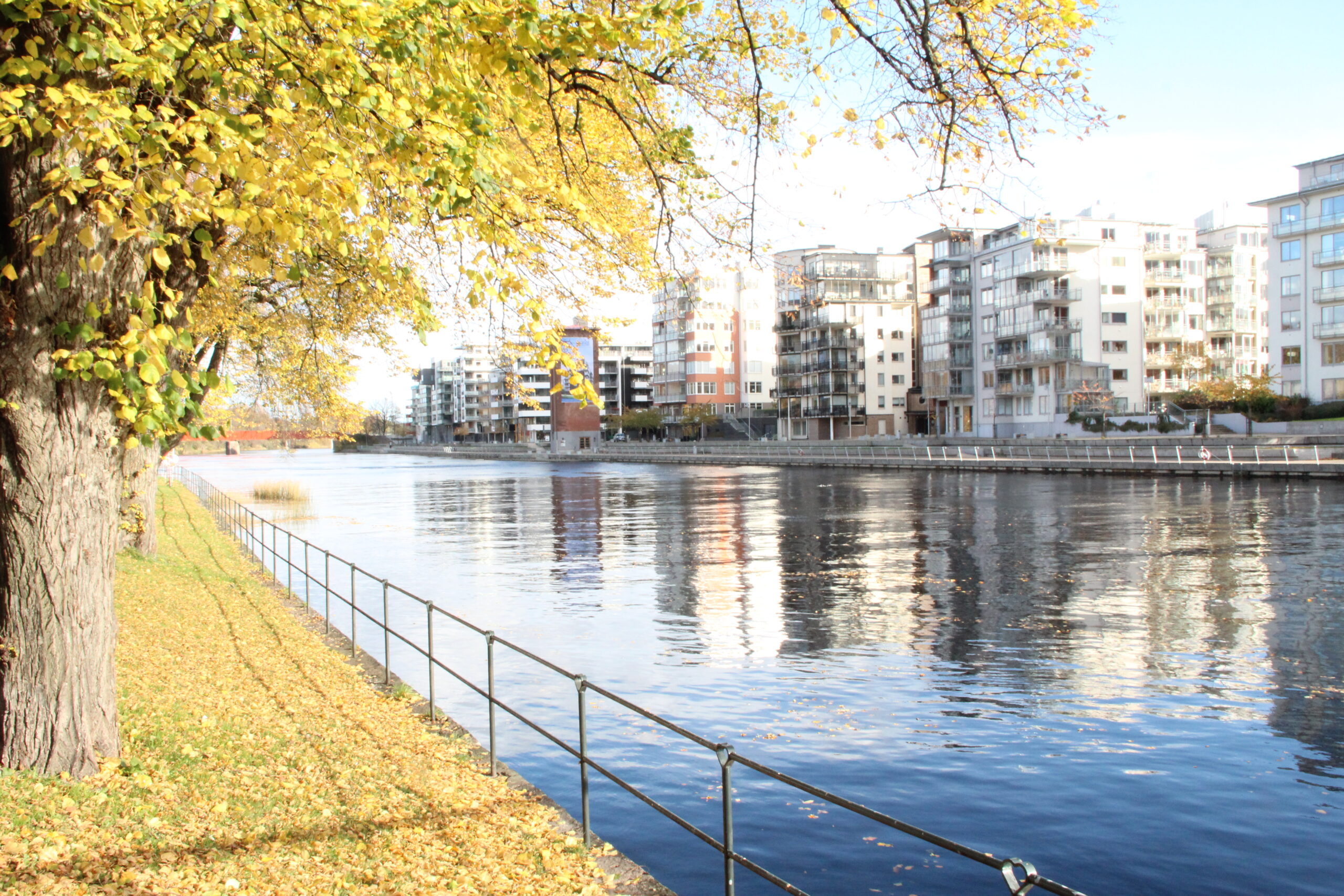 Vad händet i Halmstad i höst 2026